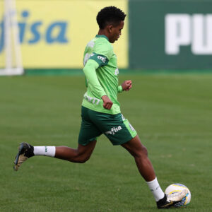 Menos grave, porém sem data para volta aos gramados, Estêvão sofreu torções e está fora também - Crédito: Cesar Greco/Palmeiras/by Canon