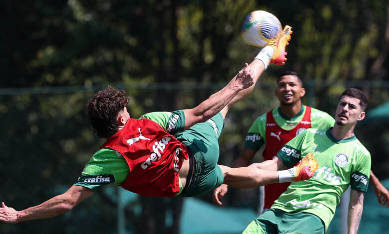 Elenco volta aos treinos e foca o tricampeonato do Brasileirão - Crédito: Cesar Greco/Palmeiras/by Canon