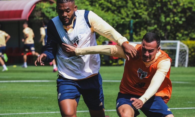 Elenco se reapresentou e já treina para diminuir a distância do líder Flamengo - Crédito: Erico Leonan / saopaulofc.net
