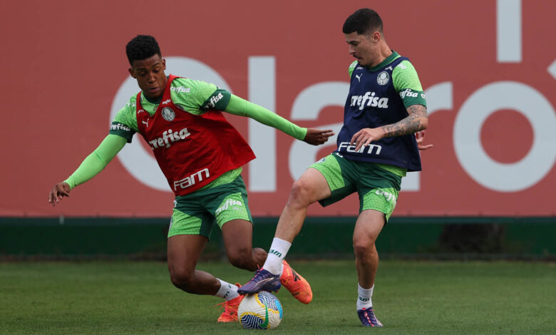 Rômulo chegou depois do Paulistão, já disputou dez partidas e tem uma assistência com a camisa do Verdão - Crédito: Cesar Greco/Palmeiras/by Canon