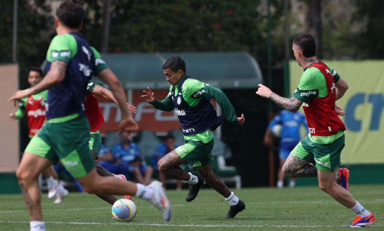 Elenco teve mais de dez dias para seguir se preparando para sequência do Brasileirão - Crédito: Cesar Greco/Palmeiras/by Canon