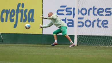 Weverton ressalta maior espaço de tempo para treinos e melhor desempenho nos jogos - Crédito: Cesar Greco/Palmeiras/by Canon
