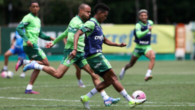 O jovem atacante, Estêvão, tem um gol a menos que Pedro do Flamengo, mas o atleta do time carioca só retorna aos gramados em 2025 - Crédito: Cesar Greco/Palmeiras/by Canon