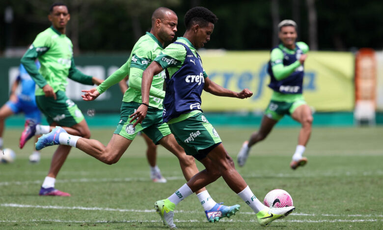O jovem atacante, Estêvão, tem um gol a menos que Pedro do Flamengo, mas o atleta do time carioca só retorna aos gramados em 2025 - Crédito: Cesar Greco/Palmeiras/by Canon