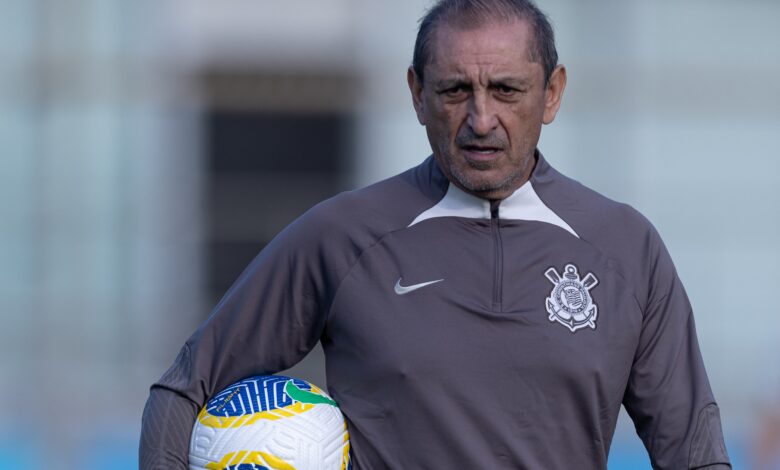 Técnico argentino terá oito dias para treinar e alinhar o time para o fim da temporada - Crédito: Rodrigo Coca/Agência Corinthians