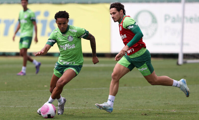 Veiga volta ao time titular em sua posição de origem, no meio de campo - Crédito: Cesar Greco/Palmeiras/by Canon
