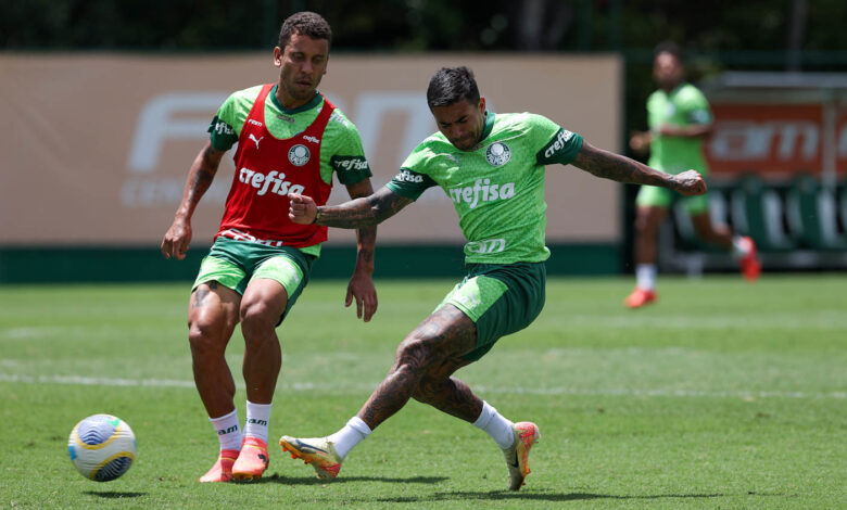 Marcos Rocha deve ser o substituto de Mayke na lateral e Dudu ganha força para ocupar a vaga de Felipe Anderson - Crédito: Cesar Greco/Palmeiras/by Canon)