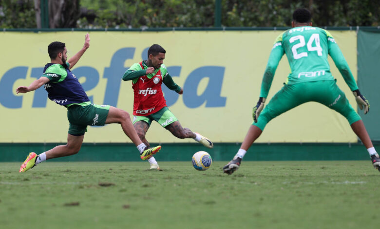 Elenco mantém treinos e foco na reta final do Brasileirão em busca do tri inédito de pontos corridos - Crédito: Cesar Greco/Palmeiras/by Canon