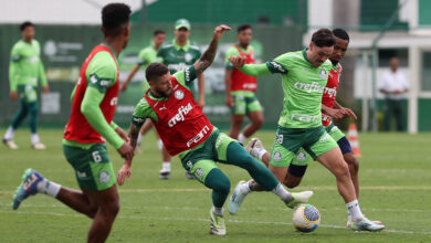 Elenco segue treinando em busca de líder Botafogo-RJ, que soma quatro pontos a mais que o Verdão - Crédito: Cesar Greco/Palmeiras/by Canon