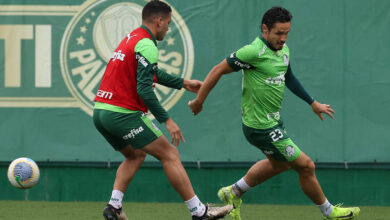 Elenco precisa vencer seus dois jogos e torcer para as duas derrotas do Botafogo-RJ para ser campeão - Crédito: Cesar Greco/Palmeiras/by Canon