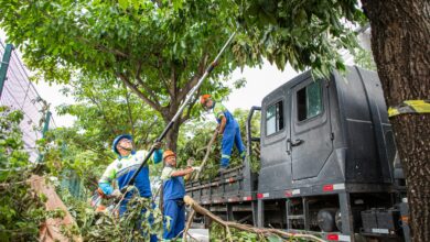 Em ação rápida e em conjunto, várias equipes da Prefeitura de São Caetano possibilitaram que a rotina voltasse à normalidade na cidade - Fotos: Gabriela Gonçalves / PMSCS