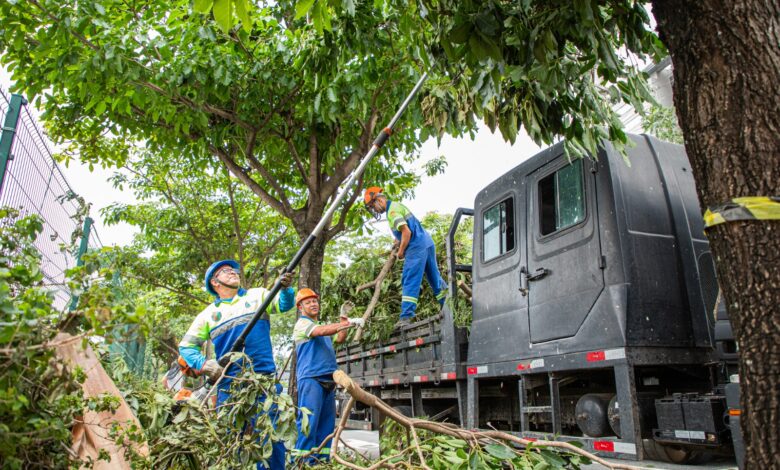 Em ação rápida e em conjunto, várias equipes da Prefeitura de São Caetano possibilitaram que a rotina voltasse à normalidade na cidade - Fotos: Gabriela Gonçalves / PMSCS
